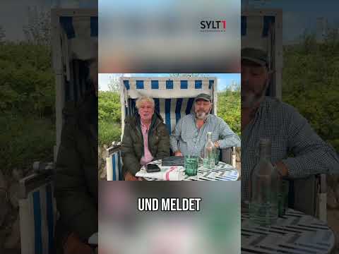 Nachts im Graben gelandet und abgehauen: das ist Unfallflucht