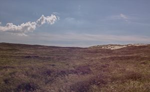 Sylts stummer Riese: Die Wanderdüne, die an den Toren von List rüttelt