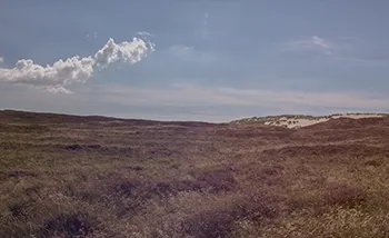 Sylts stummer Riese: Die Wanderdüne, die an den Toren von List rüttelt