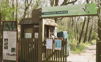 Vogelkoje Kampen: Vom Überlebenskampf zur Oase der Stille