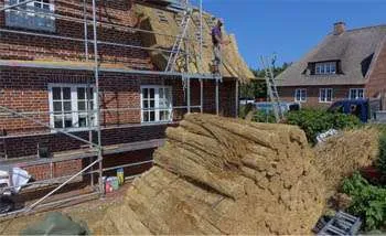 Reet - ein Baustoff direkt aus der Natur