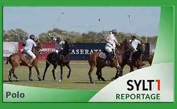Sylt1 Reportage Polo