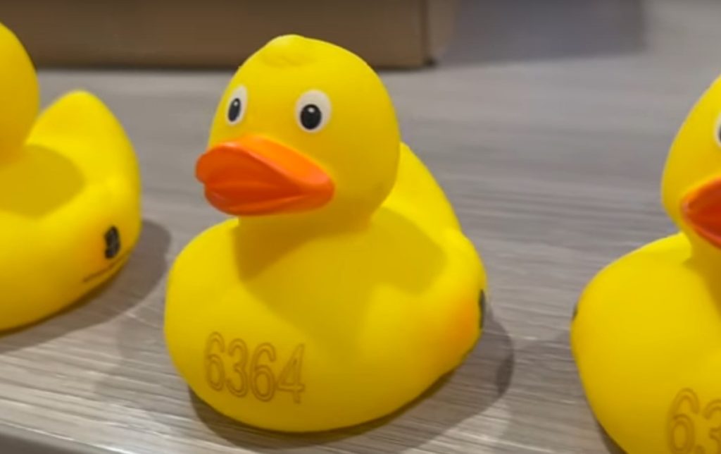 Sylt News. Dorfteichfest in Wenningstedt