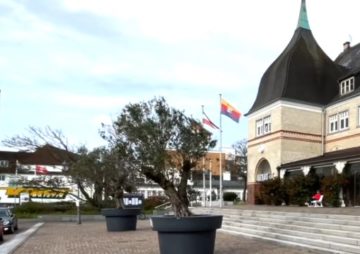 Sylt News. Gemeinsam gegen die Unkrautflut: Großreinemachen in Westerlands Innenstadt 48 Flüchtlinge auf Sylt - Entscheidung gefallen