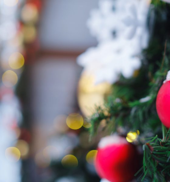 Die schönste Zeit auf der schönsten Insel der Welt