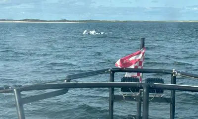 Sylt News. Seenotretter retten Kitesurfer bei Sylt aus Lebensgefahr.