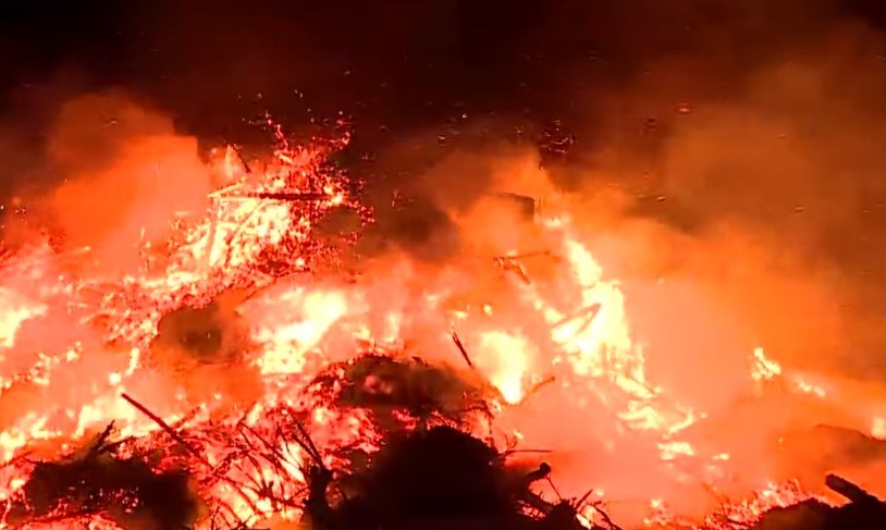 Weihnachtsbaumentsorgung auf Sylt