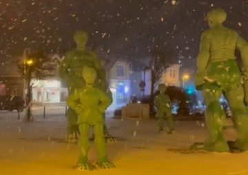 Sylt News - Grüne Riesen im Schneetreiben