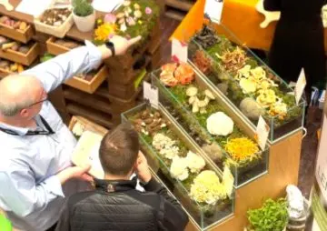 Sylt News. Gastro Messe erfolgreich gestartet.