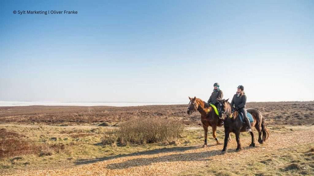 Reiten auf Sylt