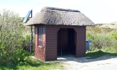 Bus-Geflüster: Wenn Mobilität zur Herzensangelegenheit wird