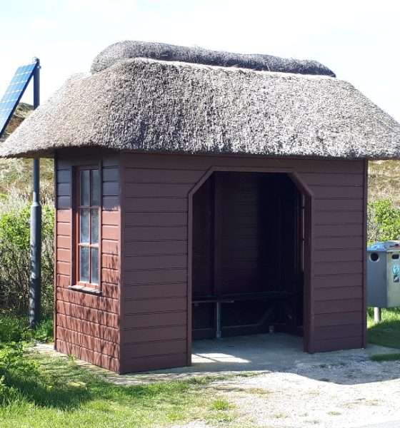 Bus-Geflüster: Wenn Mobilität zur Herzensangelegenheit wird