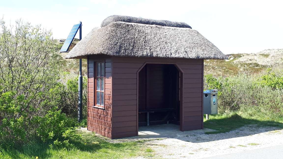 Bus-Geflüster: Wenn Mobilität zur Herzensangelegenheit wird