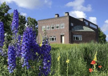 Internationaler Museumstag - Emil Nolde Museum