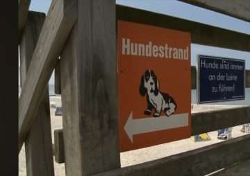 Hundestrände auf Sylt 2024 - vom Reizklima zum Reizthema