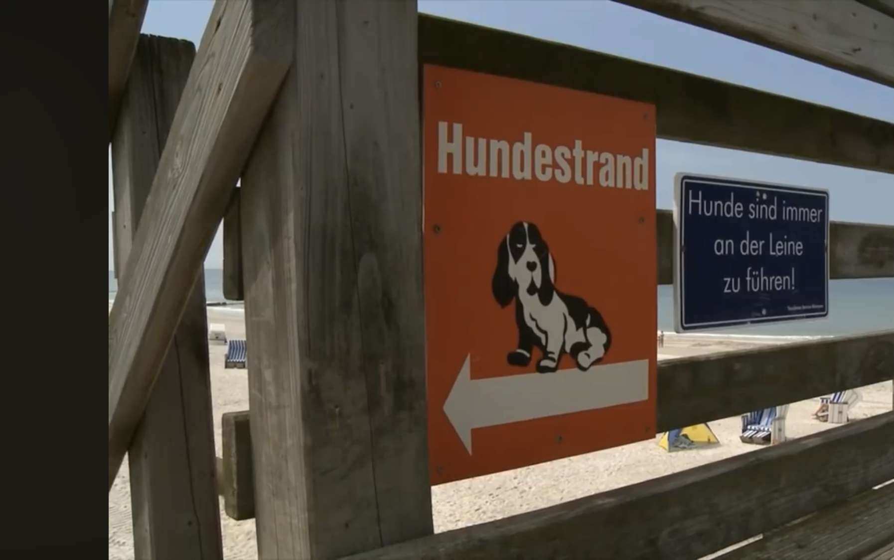 Hundestrände auf Sylt 2024 - vom Reizklima zum Reizthema