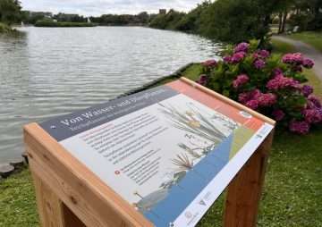 Neuer Erlebnispfad: Die Natur rund um den Wenningstedter Dorfteich erleben 55 Wenningstedter Dorfteich