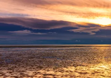 wattenmeer sylt
