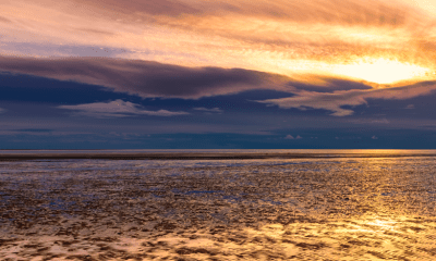 wattenmeer sylt