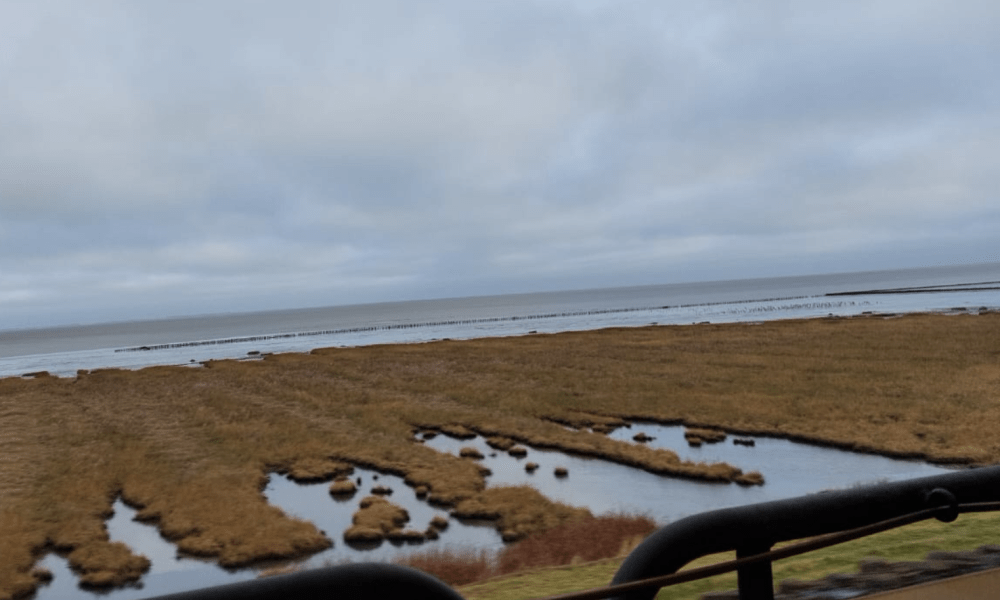 Silvester auf Sylt: Wenn die Bahn den Jahreswechsel 2026 verschläft