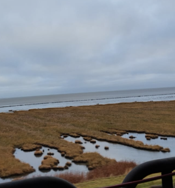 Silvester auf Sylt: Wenn die Bahn den Jahreswechsel 2026 verschläft