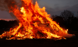 Wohin mit der Tanne auf Sylt? Alle Infos zur Weihnachtsbaum-Entsorgung