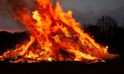 Wohin mit der Tanne auf Sylt? Alle Infos zur Weihnachtsbaum-Entsorgung