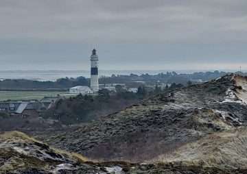 Sylt1 App – Deine Insel immer dabei, egal wo du bist