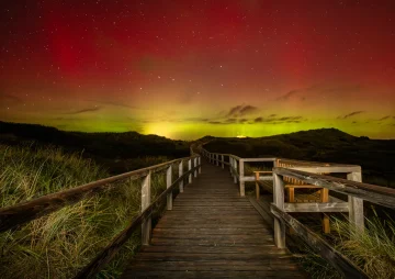 Sylt lässt sich nicht „prompten“: Warum unsere Insel echte Liebe braucht statt künstlicher Intelligenz