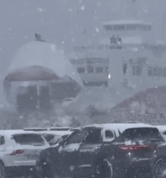 Geduldsprobe im Norden: Fähre ab List restlos ausgebucht