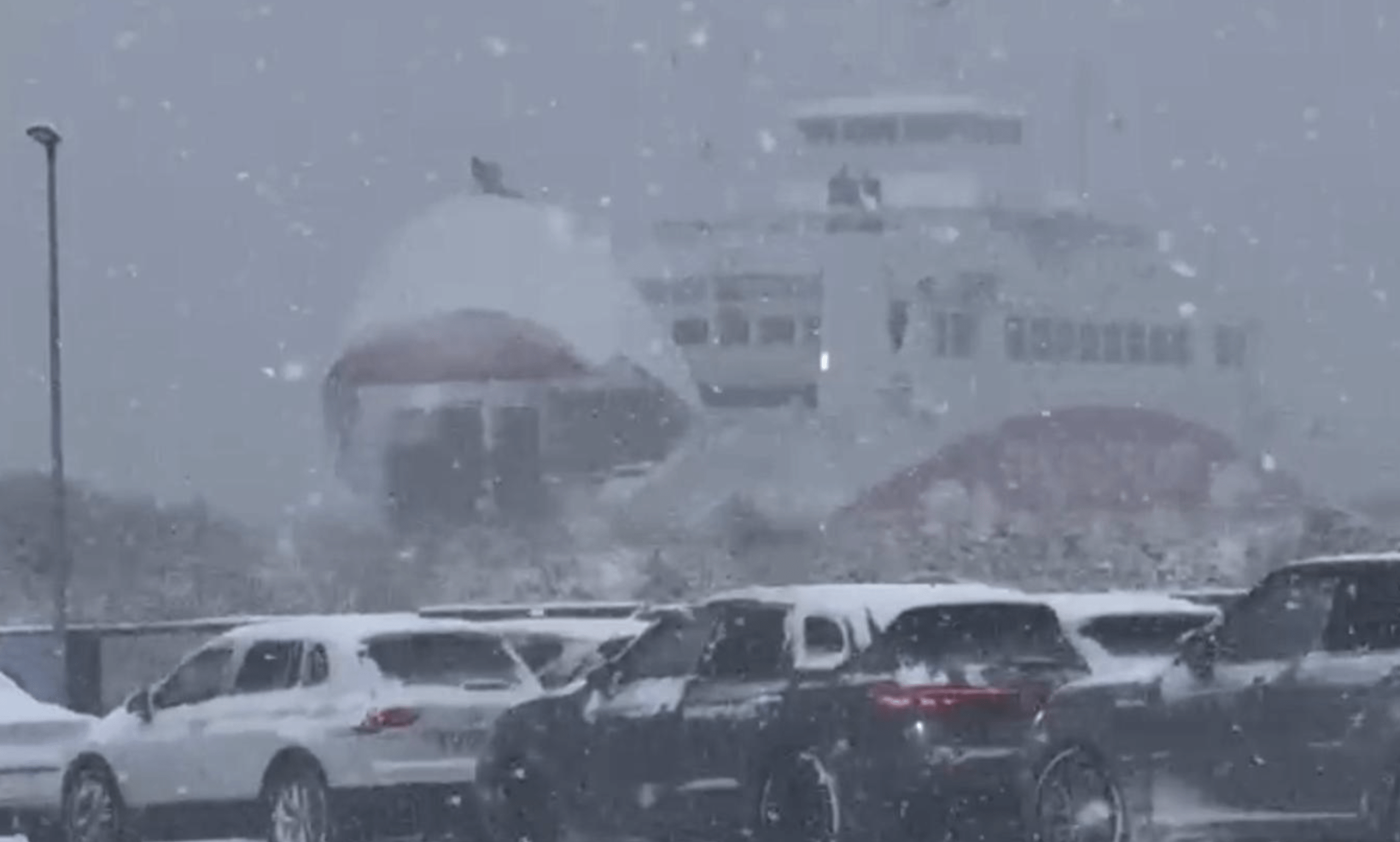 Geduldsprobe im Norden: Fähre ab List restlos ausgebucht