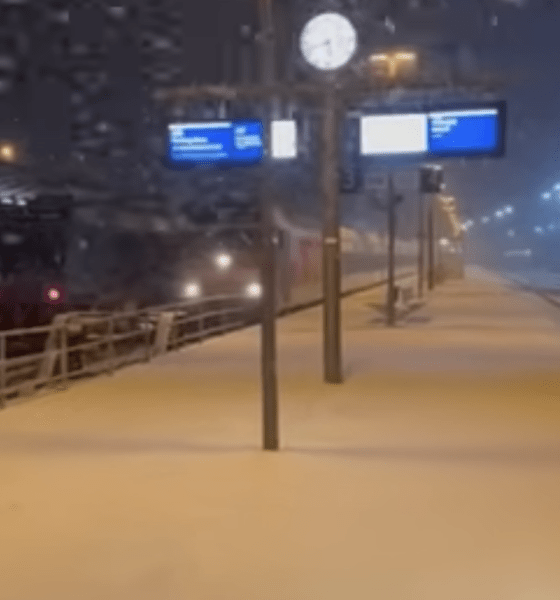 Die Insel der Gestrandeten: Warten auf das Bahn-Phantom von 23:30 Uhr