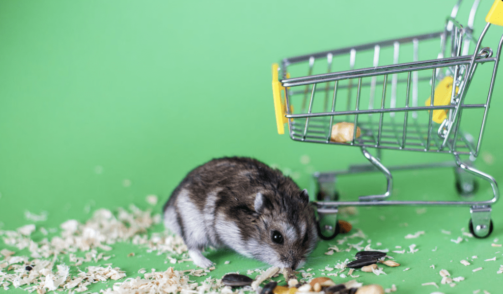 Überlebenskampf an der Fleischtheke: Der große Realitätscheck für Hamsterkäufer