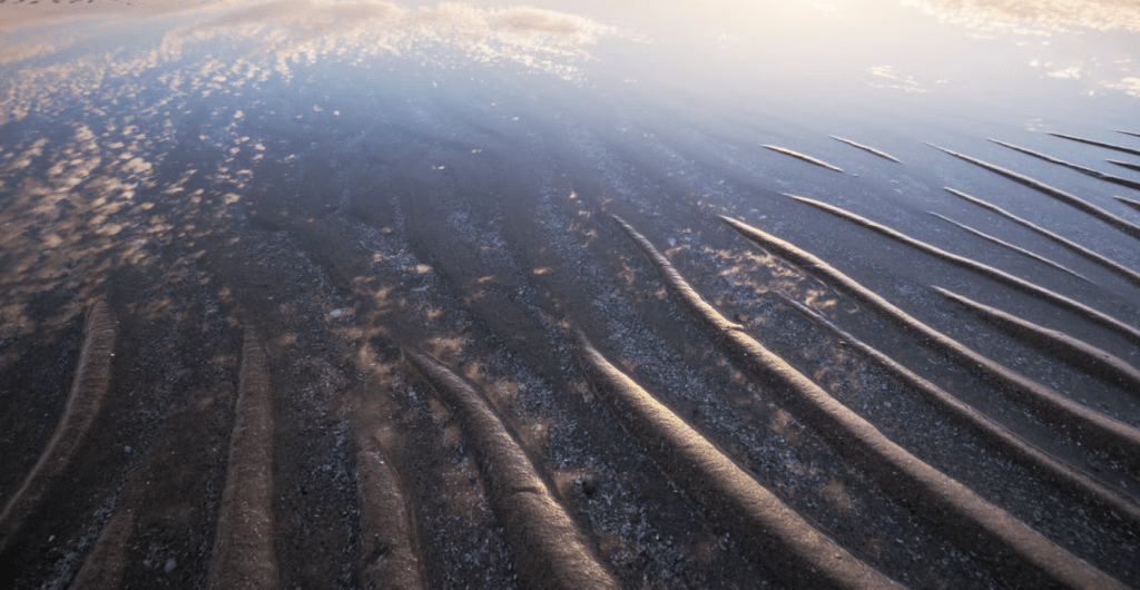 Die Syltfähre: Wenn die Nordsee kurz mal weg ist