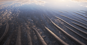 Die Syltfähre: Wenn die Nordsee kurz mal weg ist