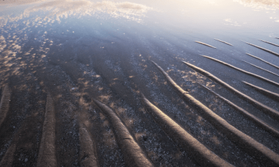 Die Syltfähre: Wenn die Nordsee kurz mal weg ist