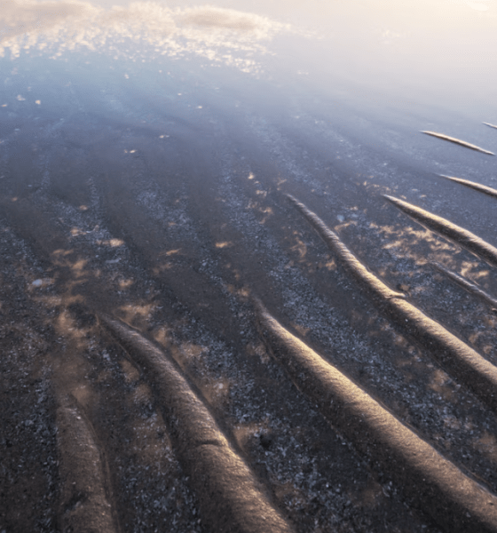 Die Syltfähre: Wenn die Nordsee kurz mal weg ist