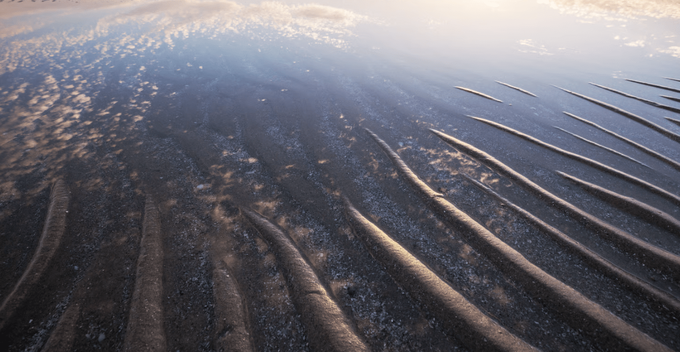 Die Syltfähre: Wenn die Nordsee kurz mal weg ist
