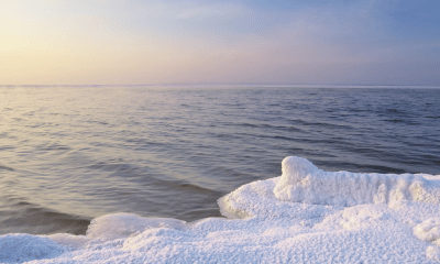 Die Faszination des Eisbadens mit Ela Schnebbe auf Sylt