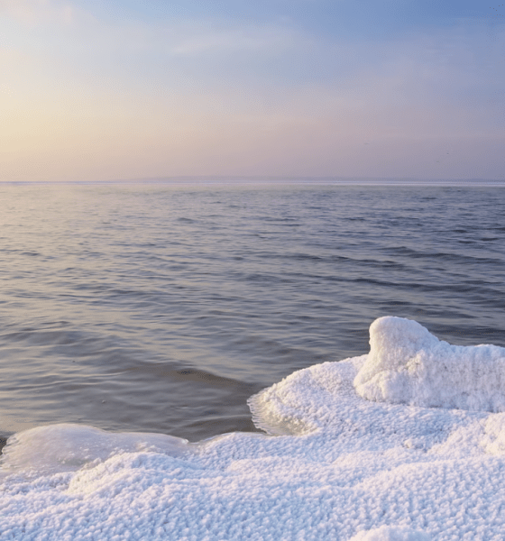 Die Faszination des Eisbadens mit Ela Schnebbe auf Sylt