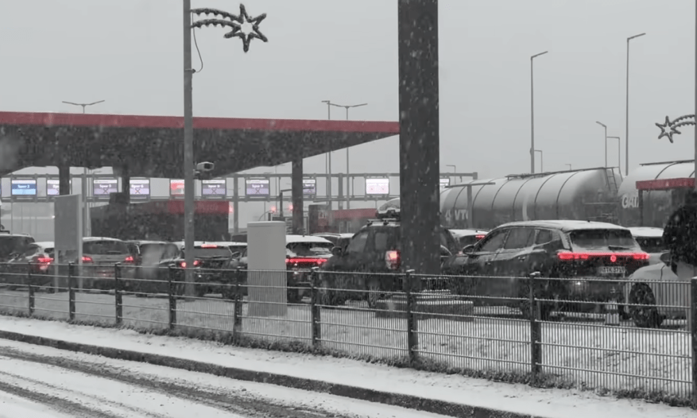 DER LETZTE ANKER VOR DER HEIMREISE - Kulinarische Stärkung am Check Out Inselbistro