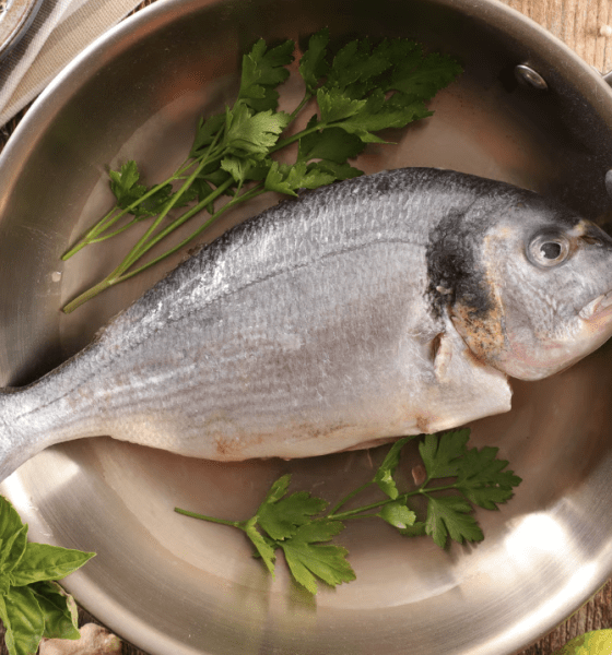 Ein kulinarisches Refugium in Keitum: Genussmomente im Amici