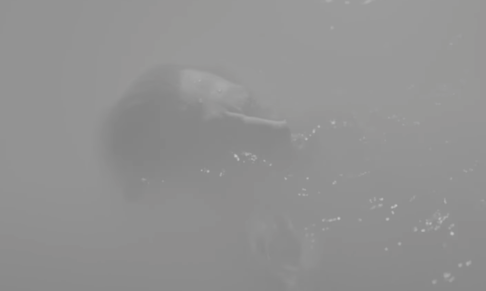 Leichenfunde auf Sylt - Die Doku über verlorene Seelen in der Wochenshow