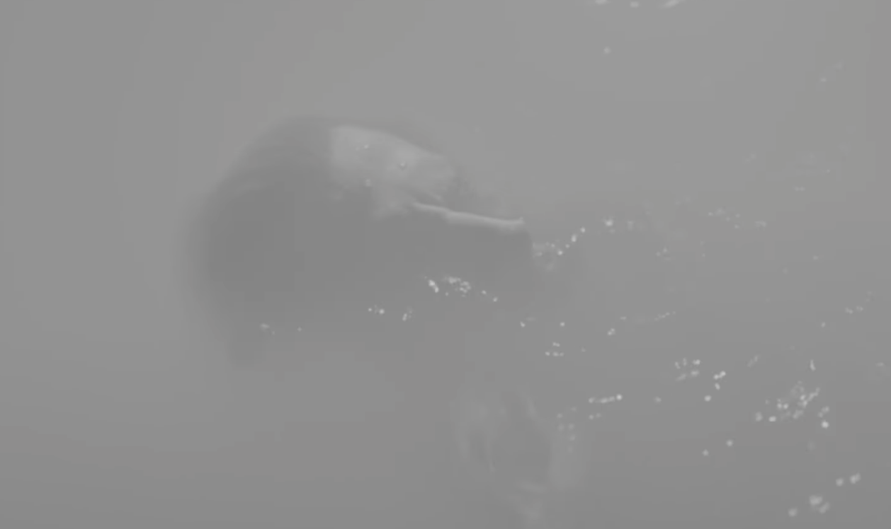 Leichenfunde auf Sylt - Die Doku über verlorene Seelen in der Wochenshow