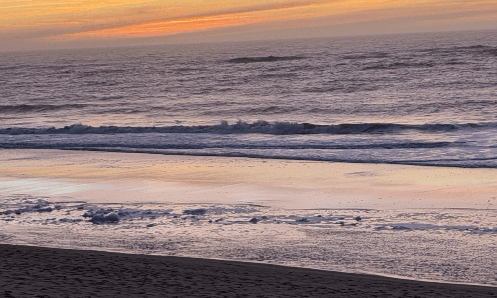 Warum der Sylter Winter die beste (und härteste) Kur der Welt ist