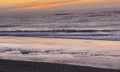 Warum der Sylter Winter die beste (und härteste) Kur der Welt ist