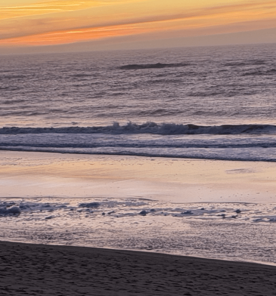 Warum der Sylter Winter die beste (und härteste) Kur der Welt ist