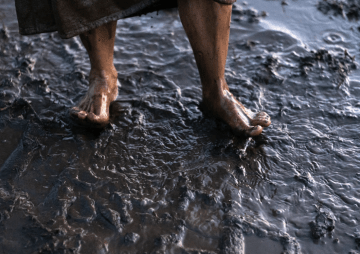 Sylter Geheimnisse des Meeresgrundes: Wattführung im Weltnaturerbe