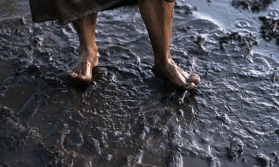 Wattführung im Weltnaturerbe – Barfuß im Kopf, Gummistiefel am Fuß