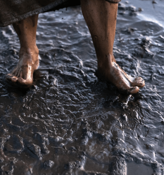 Wattführung im Weltnaturerbe – Barfuß im Kopf, Gummistiefel am Fuß